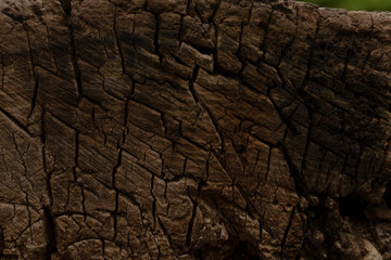 This closeup of a weathered wood log highlights its intricate, cracked patterns, celebrating the beauty of natural aging and inviting appreciation for natures artistry