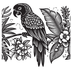 Parrot Silhouette Vector – Outline Style Bird Illustration Isolated on White Background