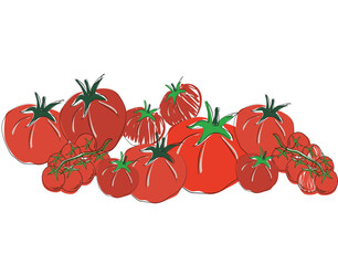 Hand-drawn illustration of a variety of colorful tomatoes