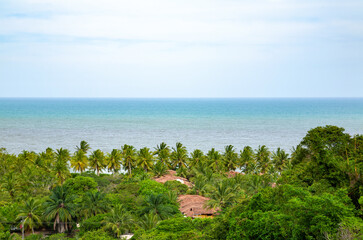 Houses with palm trees, Porto Seguro, Bahia,  Brazil, South America.