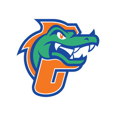 Naklejka premium Florida head mascot logo vector art illustration