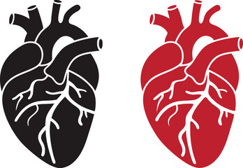 Anatomical Heart Silhouette Vector Illustration in Black and Red for Medical and Health Concepts