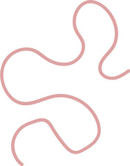 Intestinal Parasitic Worm