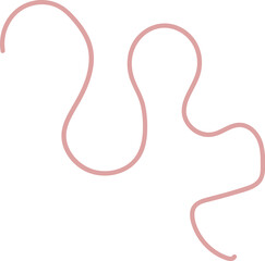 Intestinal Parasitic Worm
