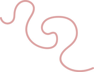 Intestinal Parasitic Worm