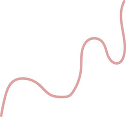 Intestinal Parasitic Worm