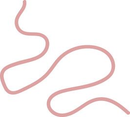 Intestinal Parasitic Worm