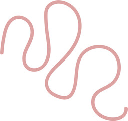 Intestinal Parasitic Worm