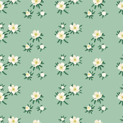 Obraz premium Floral vector seamless pattern with delicate spring flowers on light green background.