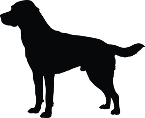 Dog Silhouette Vector Illustration of Standing Canine for Pet, Security, and Animal Themes