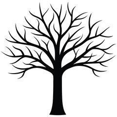 Bare Tree Silhouette Against White Nature, Branches, Art, and Design Element