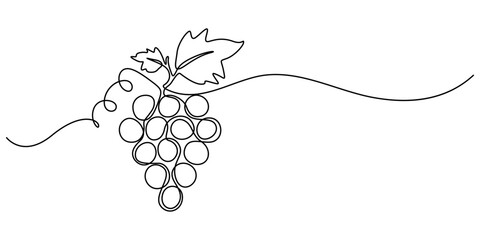 Continuous one line drawing of a bunch of grapes,  representing elegance and natural sweetness, line art style vector illustration, Bunch of grapes. Minimalist line drawing, one continuous line, pro.