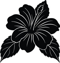 You might also like these vectors
