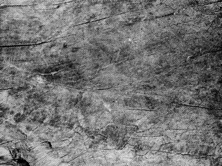 Wood Halftone Textures