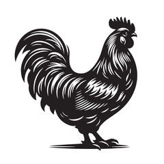 Black Butter Chicken Silhouette Vector, High Quality Illustration on White Background