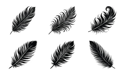 Obraz premium Different bird feather set bundle collection vector illustration isolated on a white background