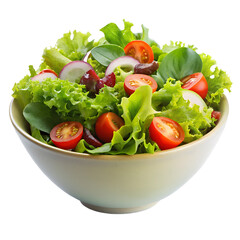 Fresh Green Salad Bowl Isolated on Transparent Background