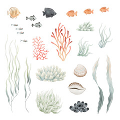 Marine set with corals, sea plants, sea sponges, shells and fishes. Watercolor isolated illustration of hand-drawn decorative elements for your design, collection of marine flora and fauna.