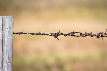 barbed wire on a fence