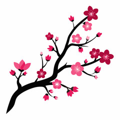 cherry blossom tree