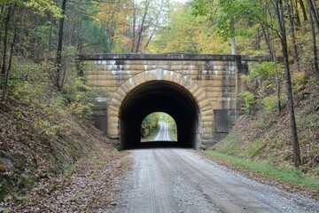 Tunnel Through Forest Road