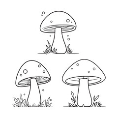 Mushroom Line Art Vector, Black and White Mushroom Illustrations.