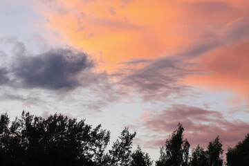 A sunset sky with soft clouds.