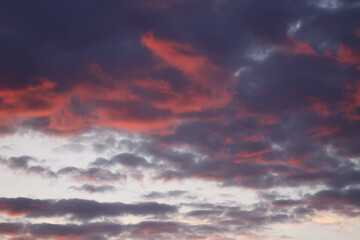 Fototapeta premium A sunset sky with soft clouds.