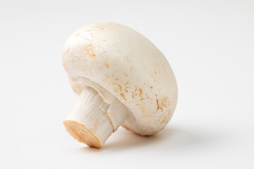 Mushroom isolated on white background