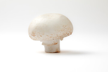 Mushroom isolated on white background