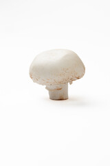 Mushroom isolated on white background