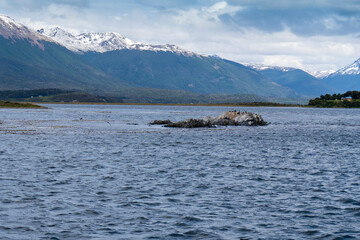 Navigating the Beagle channel from Ushuaia with sea lions, whales, penguins and various bird species, and the iconic Les Eclaireurs Lighthouse. Tierra de Fuego Patagonia Argentina.