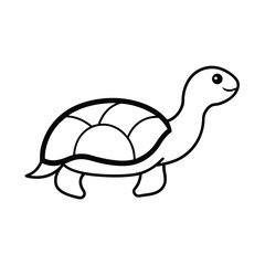 turtle vector illustration