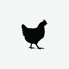 Download a high-resolution chicken vector graphic perfect for farm-themed designs, t-shirt prints, educational materials, and digital art.