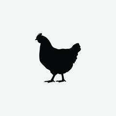 Download a high-resolution chicken vector graphic perfect for farm-themed designs, t-shirt prints, educational materials, and digital art.