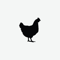 Download a high-resolution chicken vector graphic perfect for farm-themed designs, t-shirt prints, educational materials, and digital art.