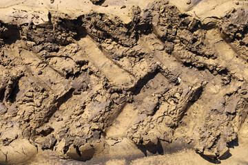 A clear tire track from heavy machinery on muddy soil creates a distinct texture and relief, reflecting agricultural activity or construction. This image highlights human impact on the land and work p