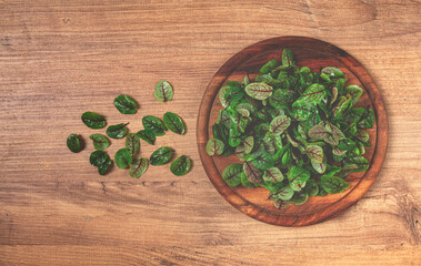 sorrel bloody Mary, fresh baby sorrel leaves, with red veins, micro-greens, on a plate,