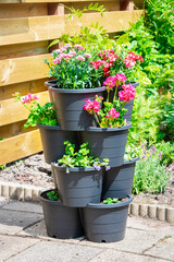 Decorative sight of a tower consisting of stacked flower pots in which various brightly colored flowering plants grow