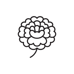 Elegant Line Art Marigold Flower Illustration Simple Botanical Design