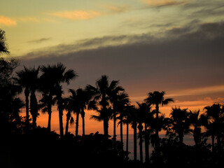 Obraz premium sunset over the beach
