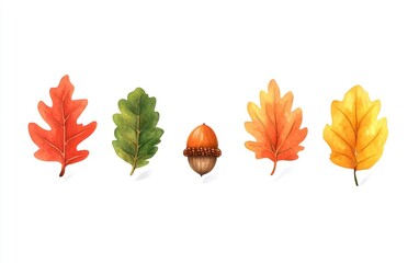 Colorful oak leaves and acorn showing autumn foliage changing colors