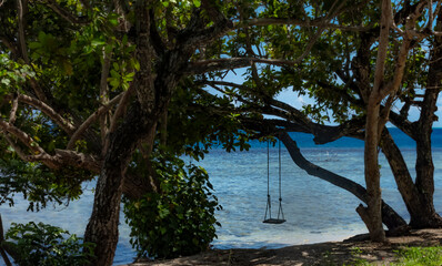 Balançoire accrochée à un arbre sur une plage sauvage de Moorea en Polynésie