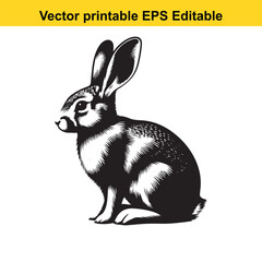 A black and white vector illustration of a rabbit sitting