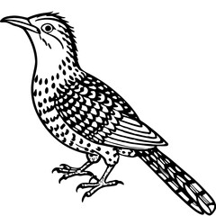 Eurasian Wryneck Vector on White