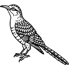 Eurasian Wryneck Vector on White