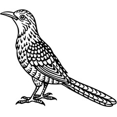 Eurasian Wryneck Vector on White