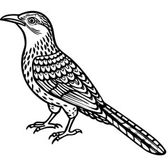 Eurasian Wryneck Vector on White
