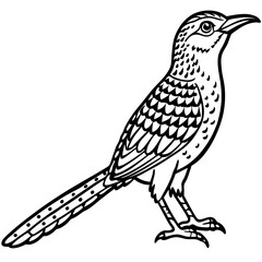 Eurasian Wryneck Vector on White
