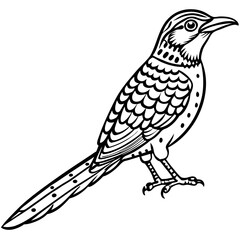 Eurasian Wryneck Vector on White